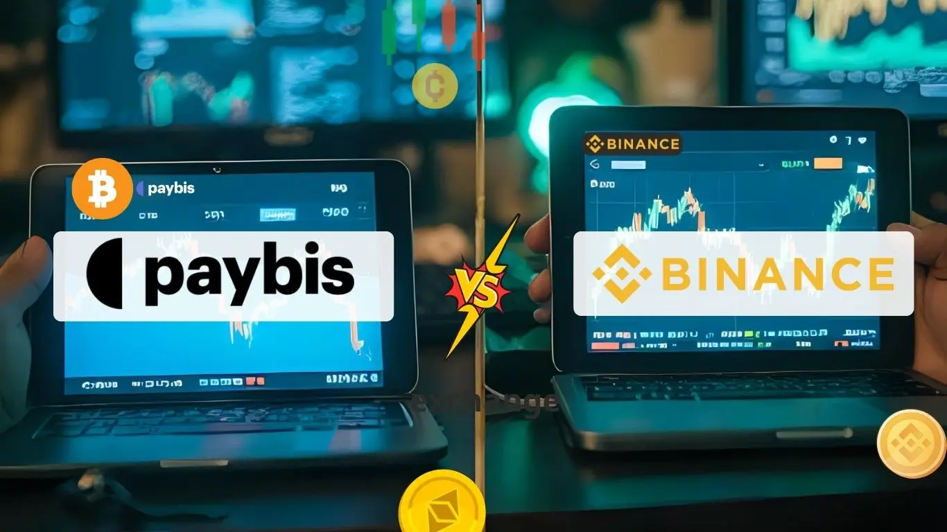 Crypto for Newbies comparing Paybis vs Binance for beginners